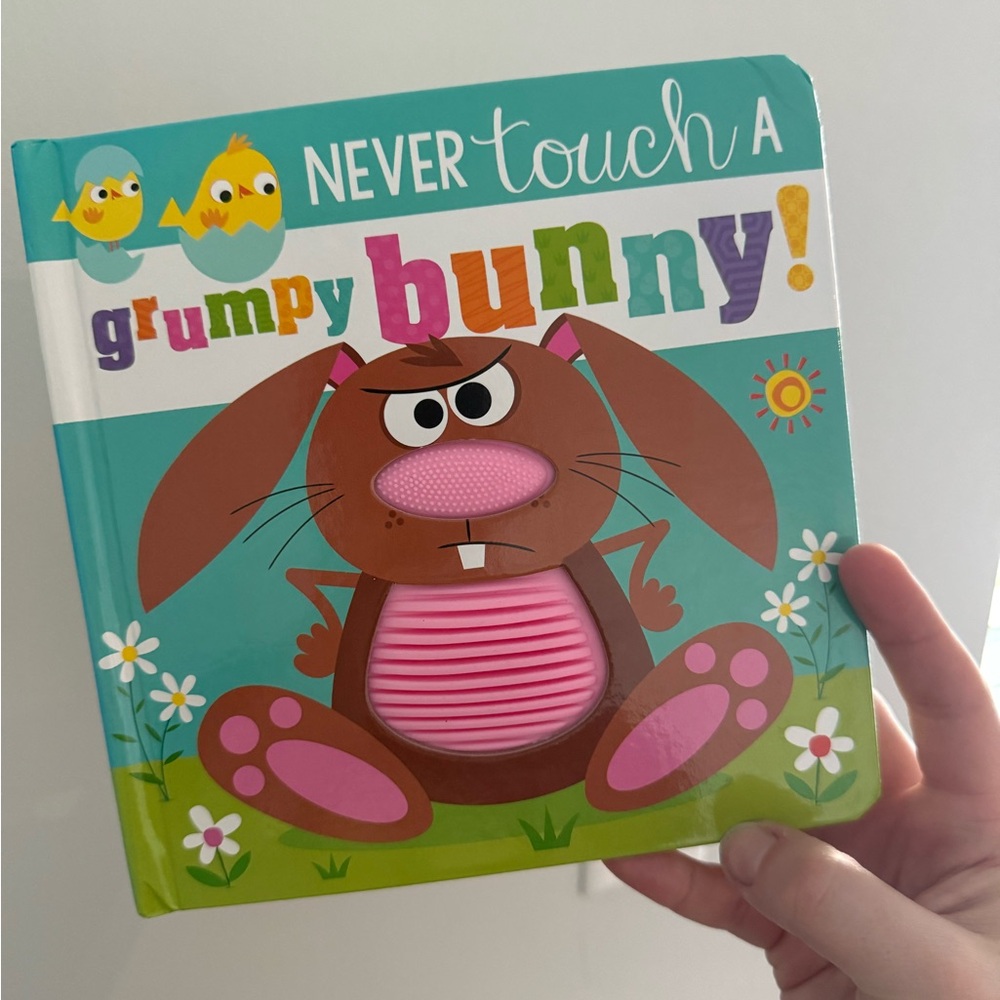 Never Touch A Grumpy Bunny